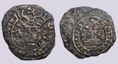 Hunnic Tribes. Turk Shahi Kings, AE unit, Type 315