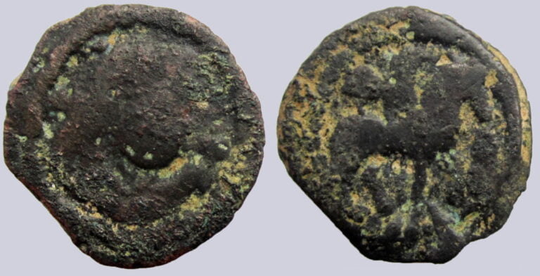 Hunnic Tribes, AE unit, Principality of Nakhshab