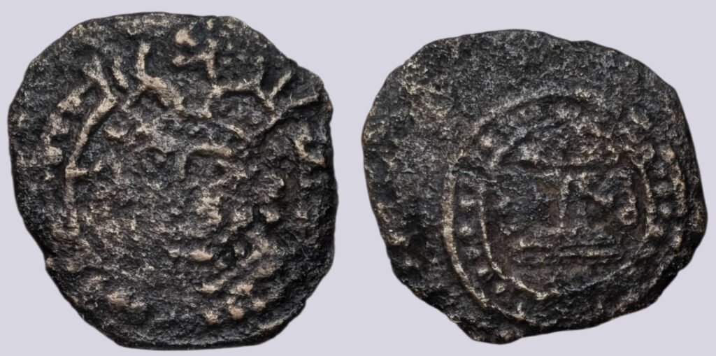 Hunnic Tribes. Turk Shahi Kings, AE unit, Type 315