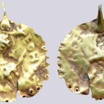 Central Asia, AV bracteate of Hunnic style