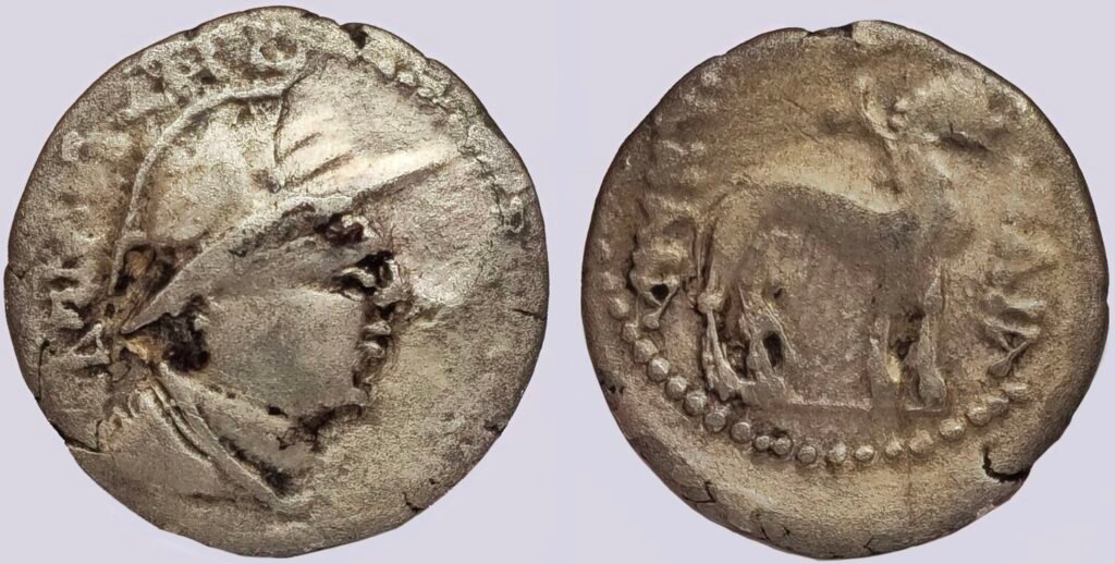 Bactrian Greeks, AE dichalkon, Demetrios