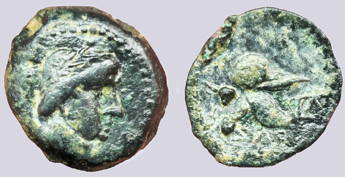 PSX_149 Seleucids in Bactria, AE unit, Antiochus I - Image 1