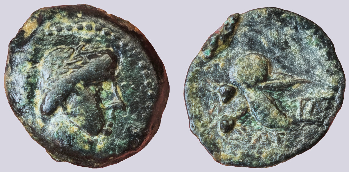 PSX_168 Seleucids in Bactria, AE unit, Antiochus I - Image 1