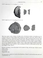 Hunnic Clay Sealing. Hephthalites. 5th cent. AD - Image 3